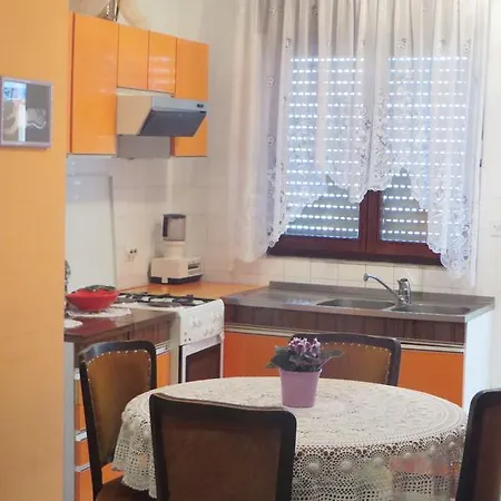 Malenko שיבניק