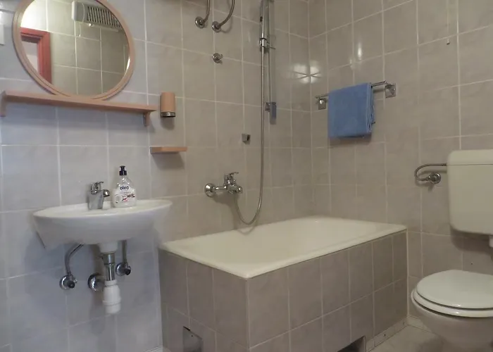 Malenko シベニク